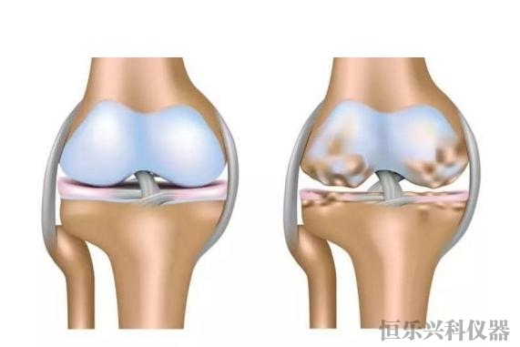 定安县髋关节磨损试验机